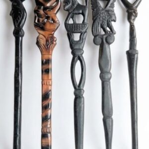 Walking Stick